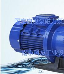 MPH-F-453CCV5磁力泵国宝泵供应